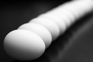 egg-52915_1280-454x304